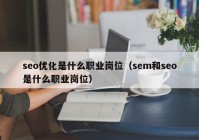 seo优化是什么职业岗位（sem和seo是什么职业岗位）