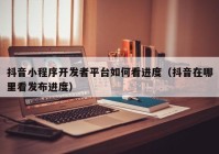 抖音小程序开发者平台如何看进度（抖音在哪里看发布进度）