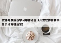 软件开发应该学习哪种语言（开发软件需要学什么计算机语言）