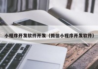 小程序开发软件开发（微信小程序开发软件）