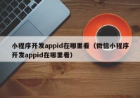 小程序开发appid在哪里看（微信小程序开发appid在哪里看）