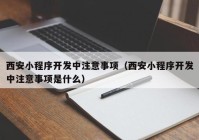 西安小程序开发中注意事项（西安小程序开发中注意事项是什么）